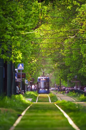 2025.05.02 Tramwaj jadący z pętli Cichy Kącik